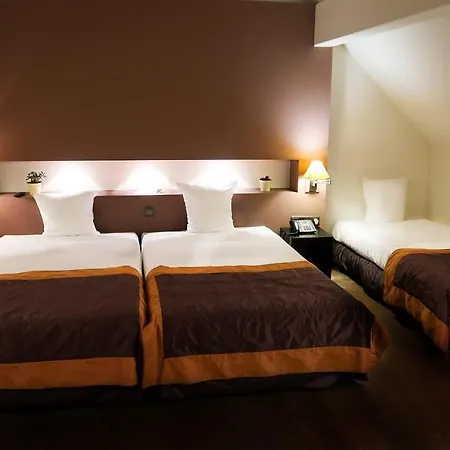 Hotel Eyck Maaseik