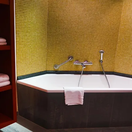 Eyck Hotel Maaseik