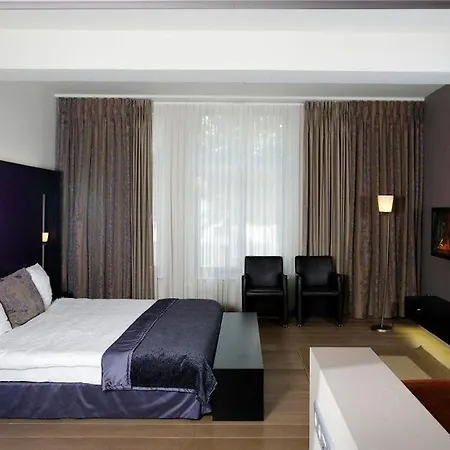 Eyck Hotel Maaseik